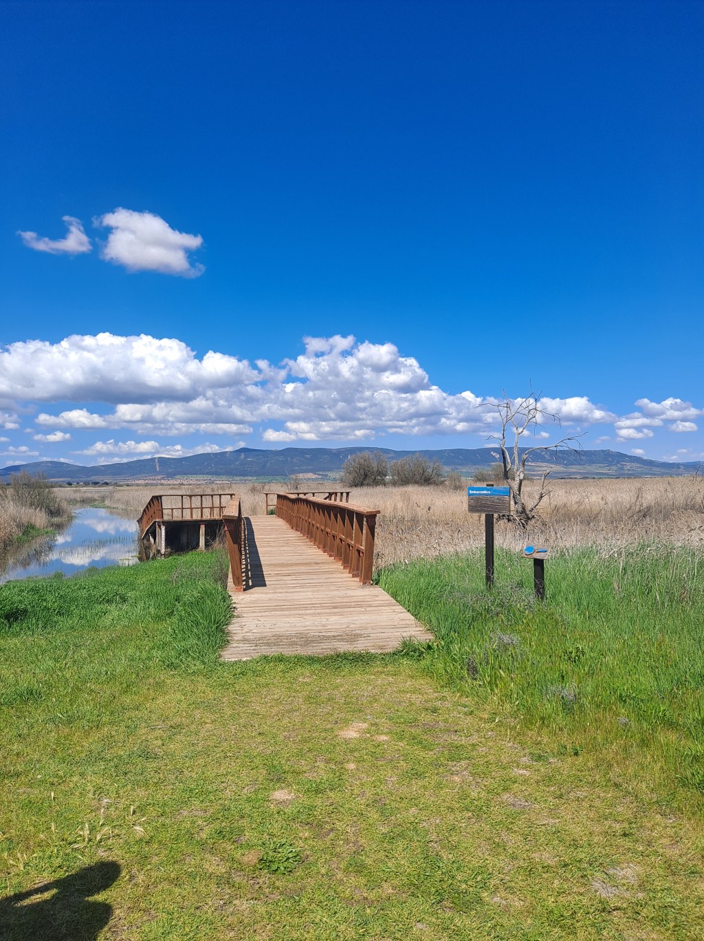 Retazos De Cultura: Las Tablas De&nbsp;Daimiel
