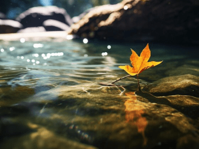 Poemario: Dos poemas