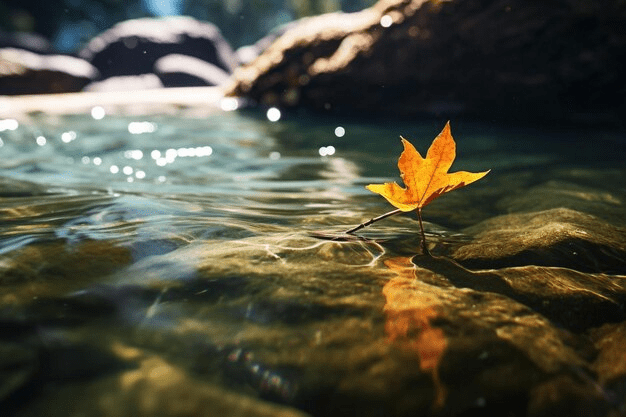 Poemario: Dos poemas